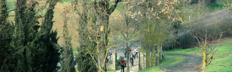 mountain-bike-in-toscana-agriturismo-anghiari