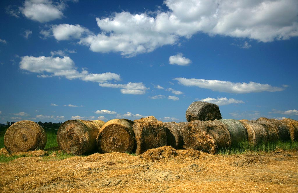 paesaggi-toscani-colline-in-valtiberina