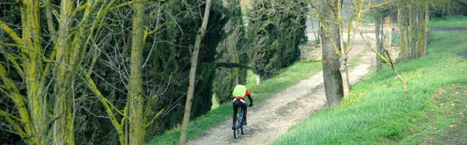 percorsi-mountain-bike-in-toscana-agriturismo-anghiari