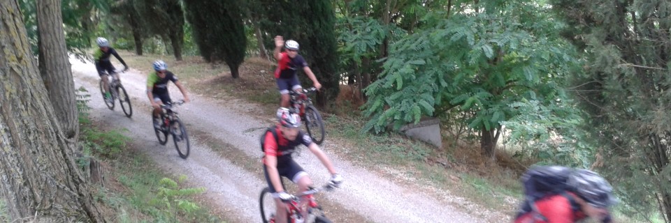 bici2